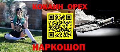 стаф Новокубанск