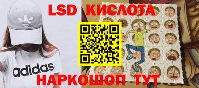 стаф Новокубанск