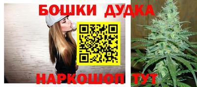 стаф Новокубанск