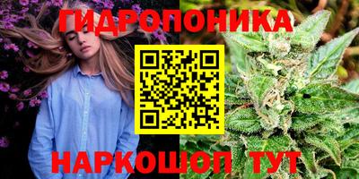 ешки Новозыбков