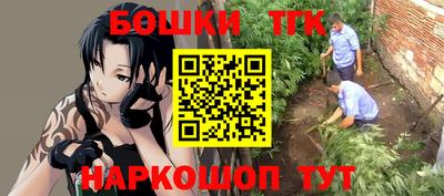 стаф Новокубанск