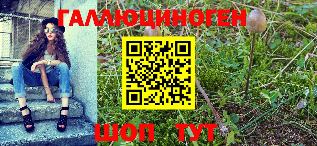 Галлюциногенные грибы прущие грибы Шахты