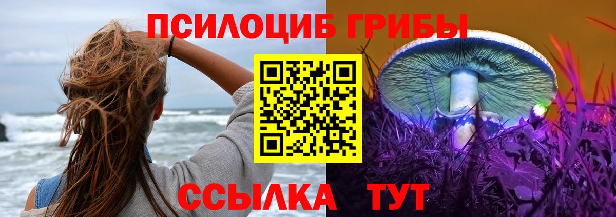Галлюциногенные грибы ЛСД  Вход с VPN  Шахты 